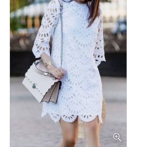 Ann Taylor Eyelet Lace Shift Dress - Picture 1 of 8